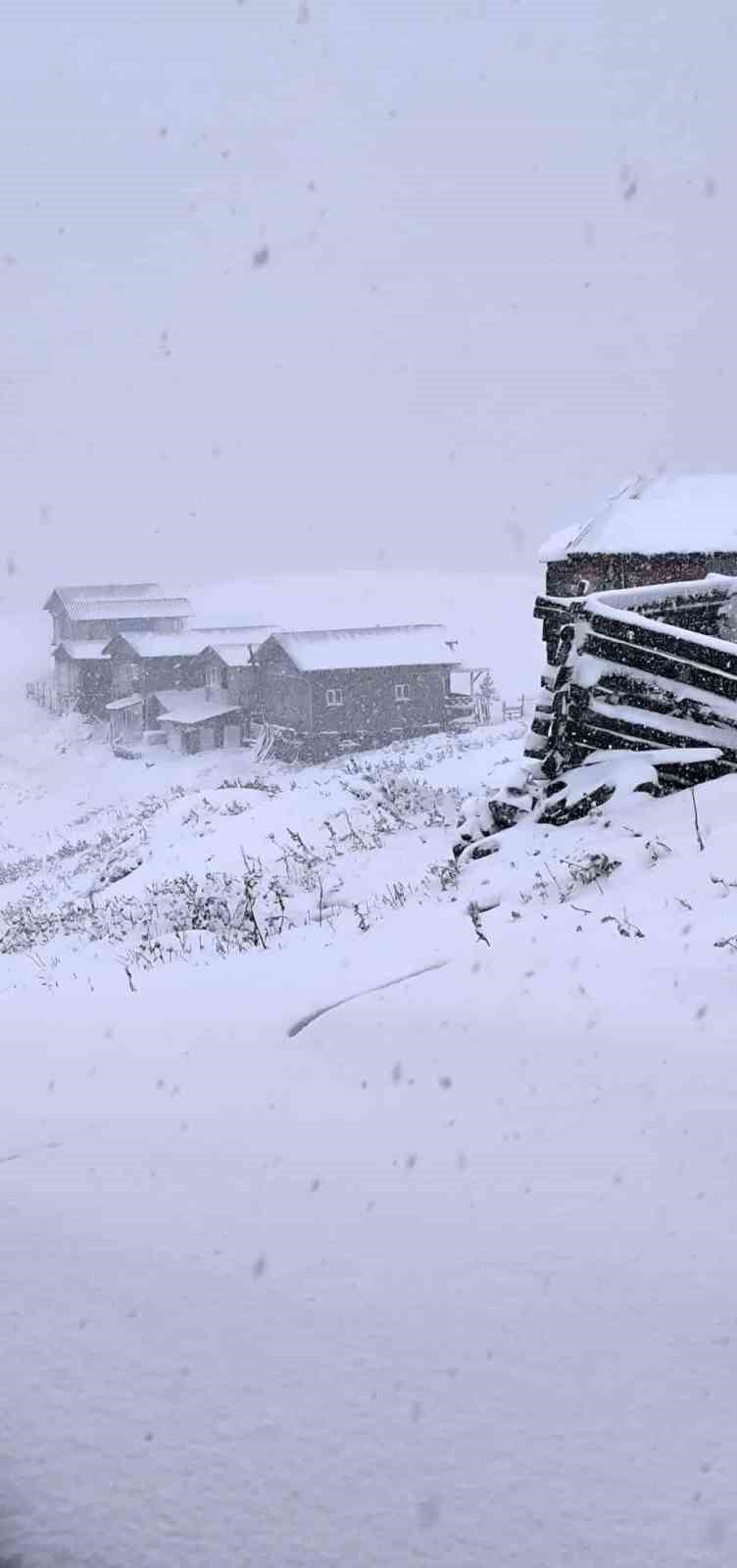 Artvin’de yayla yürüyüşü yapan grup kar sürpriziyle karşılaştı