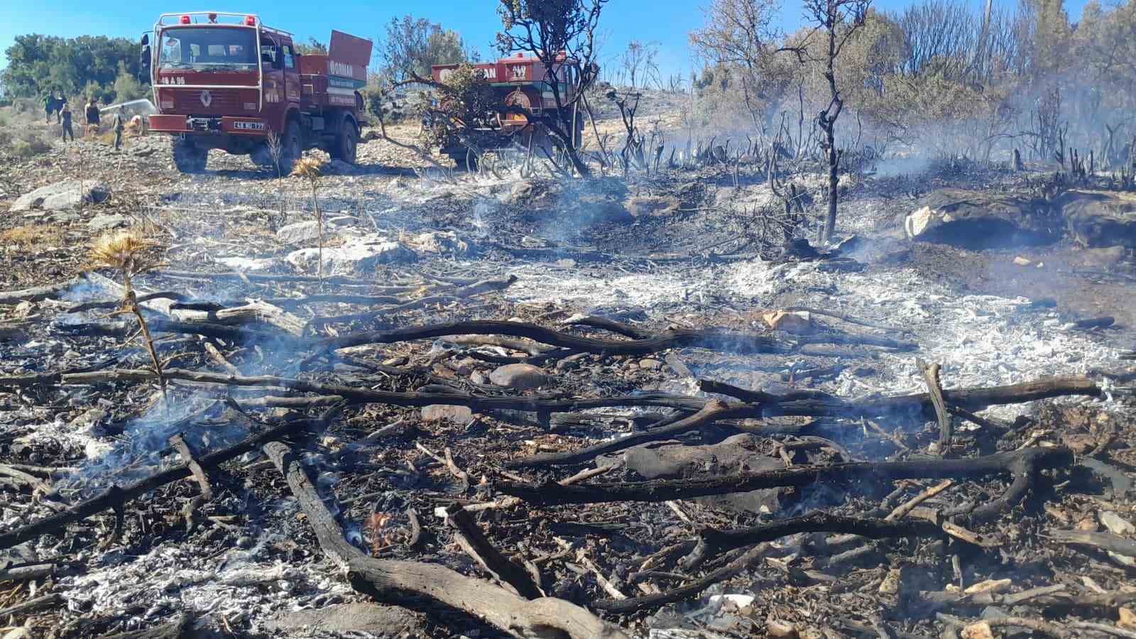 Menteşe&rsquo;de &ccedil;ıkan yangın kontrol altına alındı
