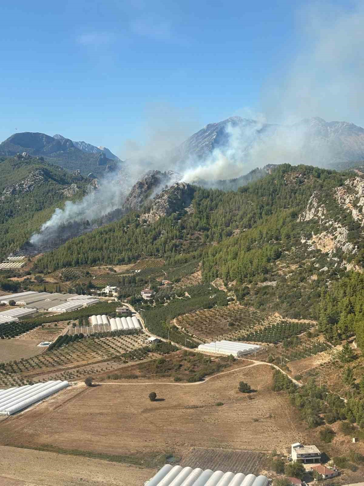 Serik’te orman yangınının enerjisi düşürüldü