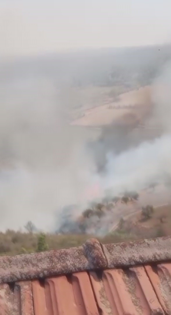 Hatay&rsquo;da zeytinlik alanda &ccedil;ıkan yangın b&uuml;y&uuml;meden s&ouml;nd&uuml;r&uuml;ld&uuml;
