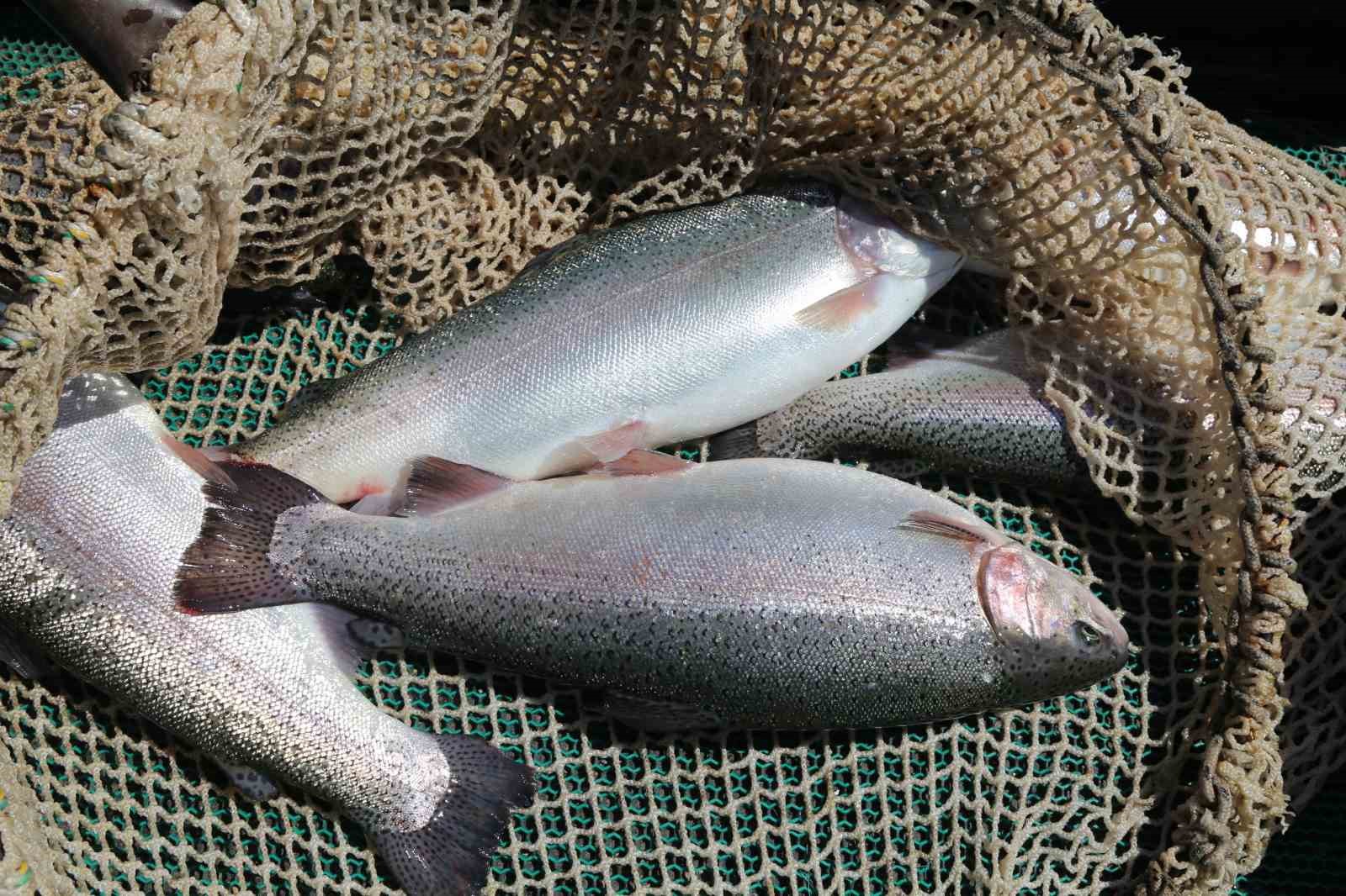 Tatlı sudan tuzlu suya daldık, AB’de lider olduk
