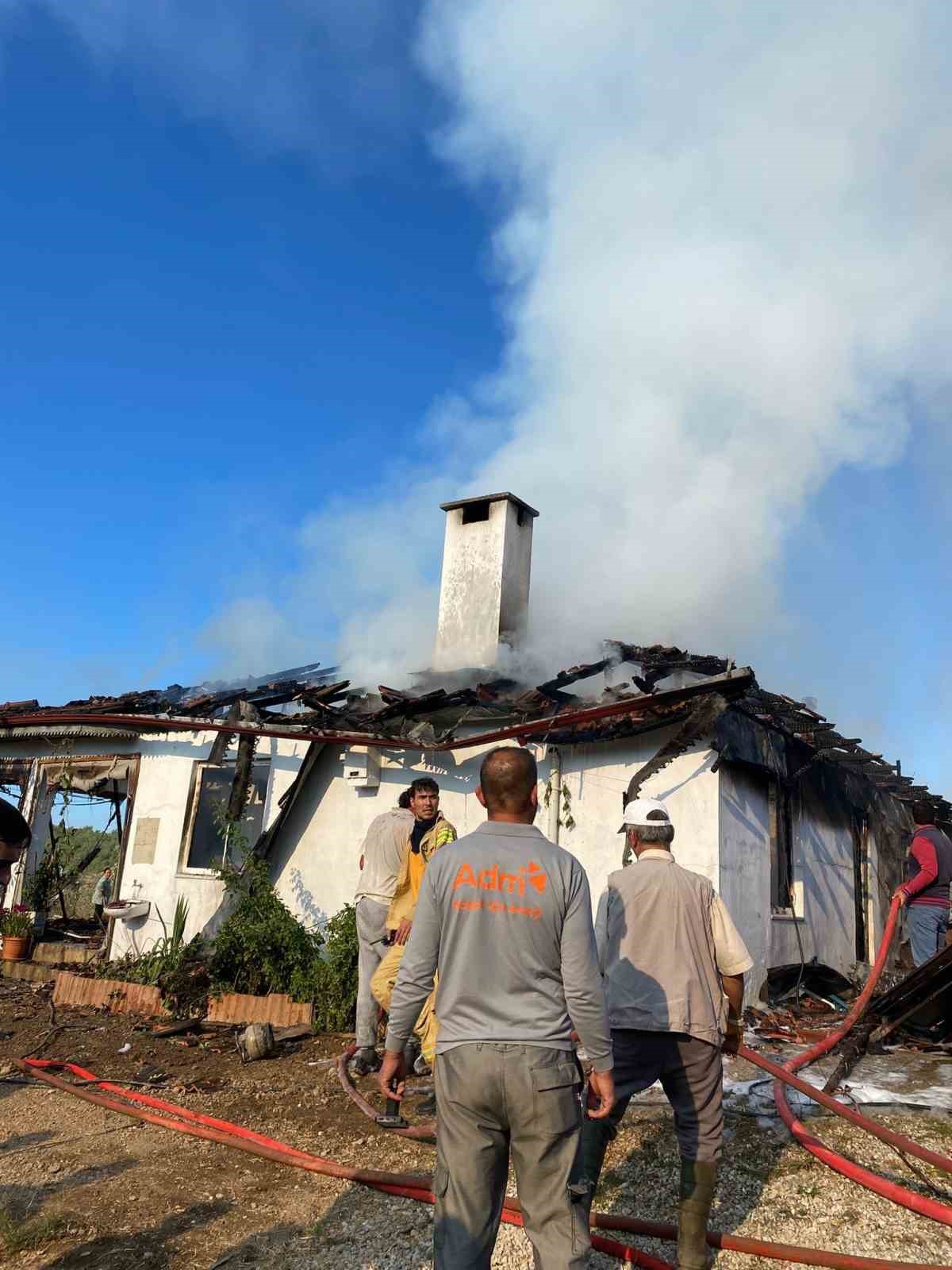 Ula&rsquo;daki yangında 3 hayvan telef oldu
