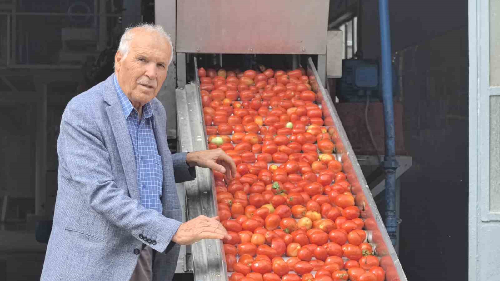 Hollanda’nın biber salçasını İnegöllü kadınlar üretiyor
