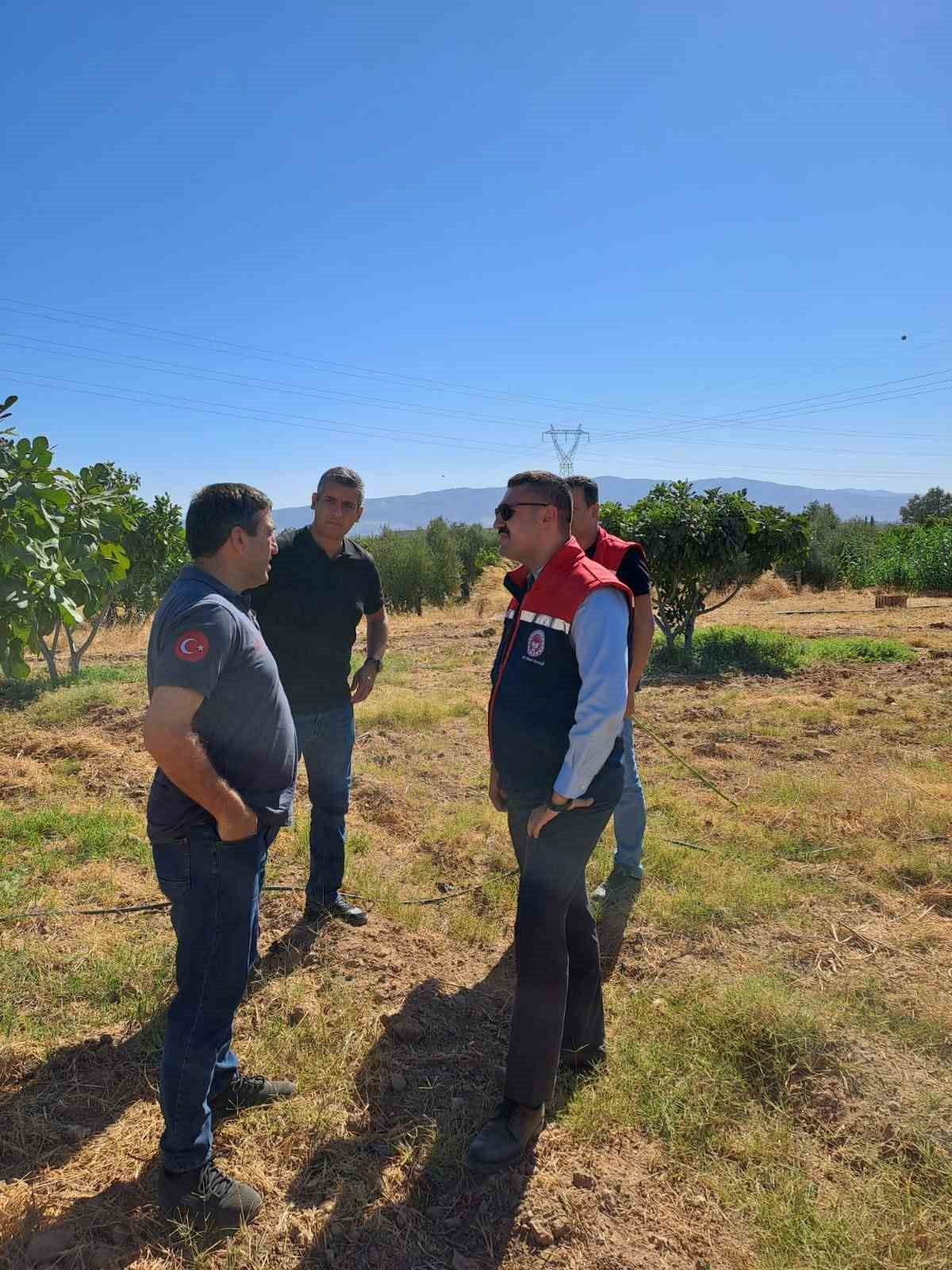 Köşk’te tarımsal zararlılarla mücadele için sahaya indiler