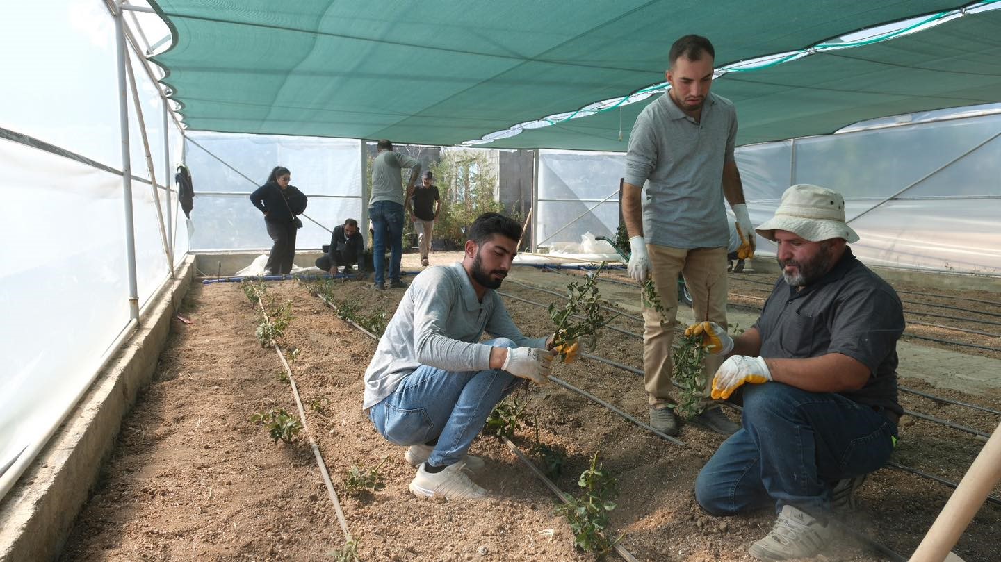 Erzincan&rsquo;da kesme g&uuml;l serası hayata ge&ccedil;iriliyor
