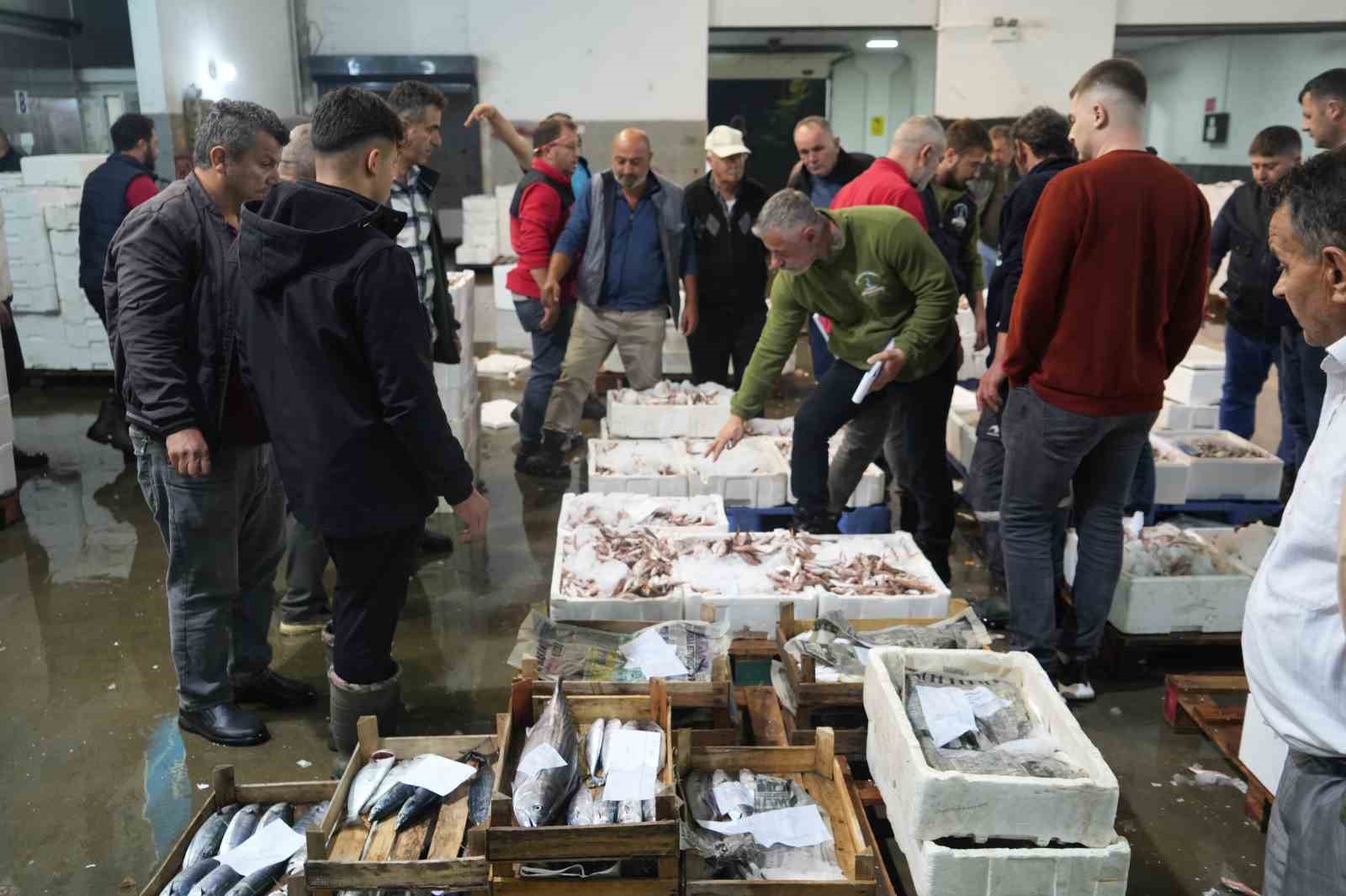 Balık mezadında hareketlilik: Kasalar dolusu balıklar kapışıldı