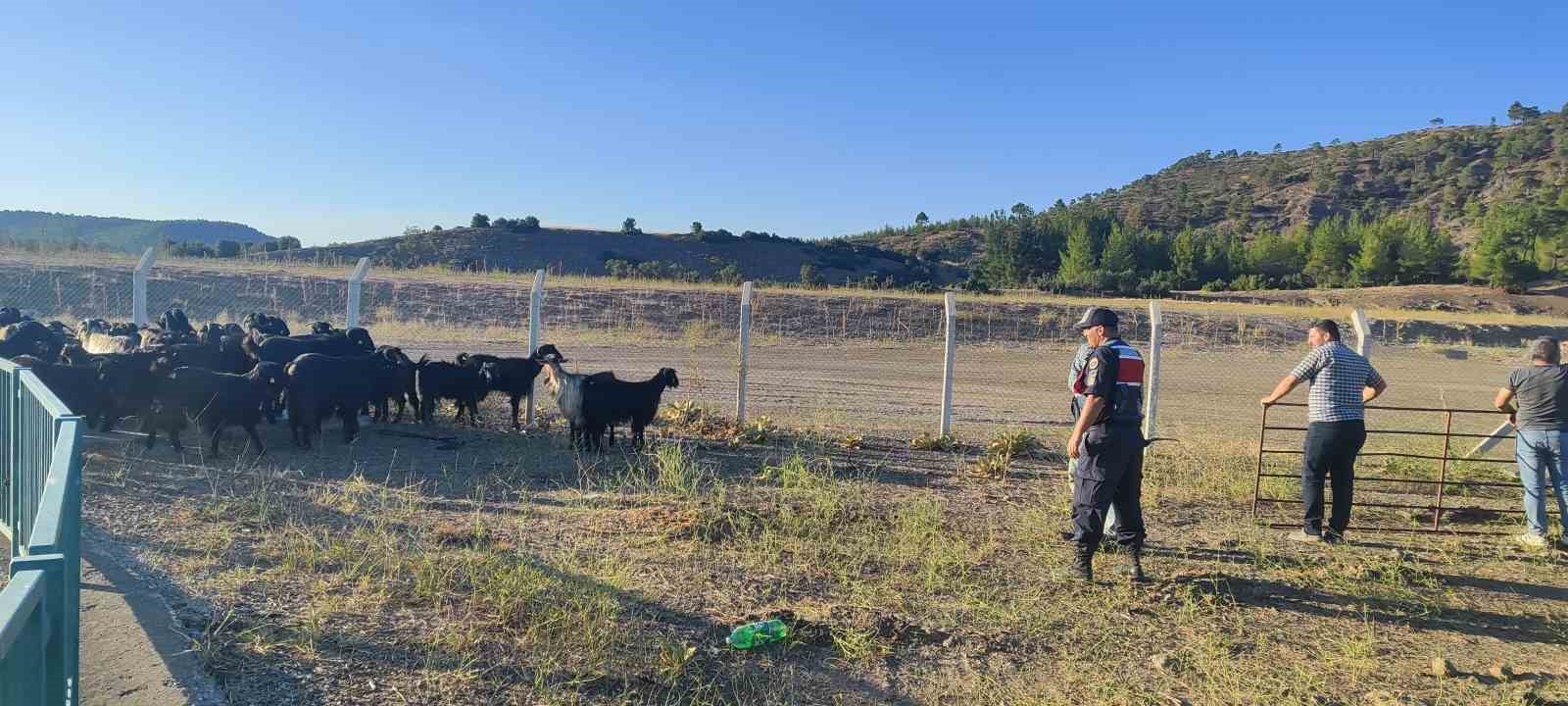 Burdur&rsquo;da kaybolan ke&ccedil;ileri jandarma buldu
