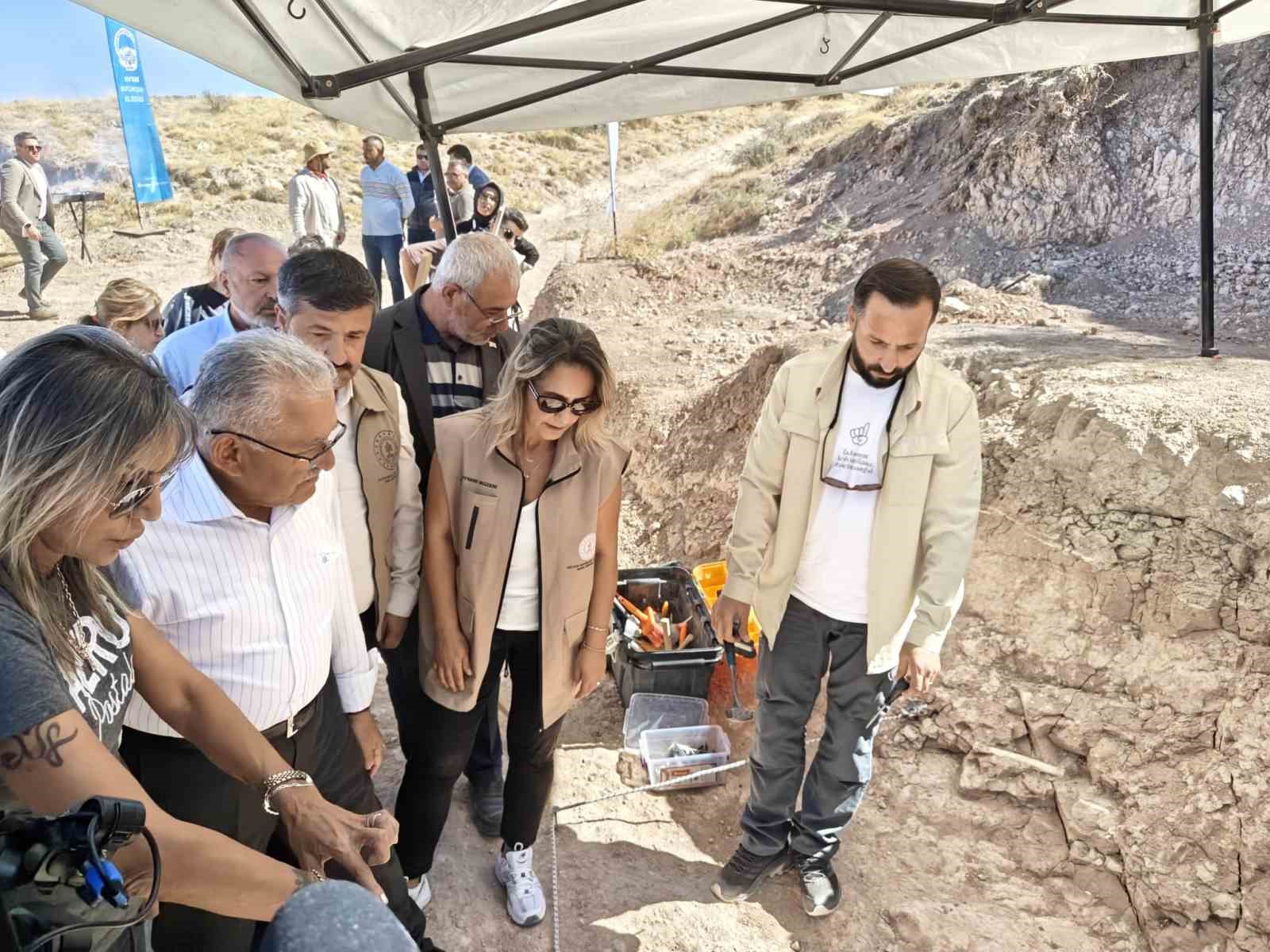 7,7 milyon yıllık kazılarda gelişme: Yeni bir tür olabilir
