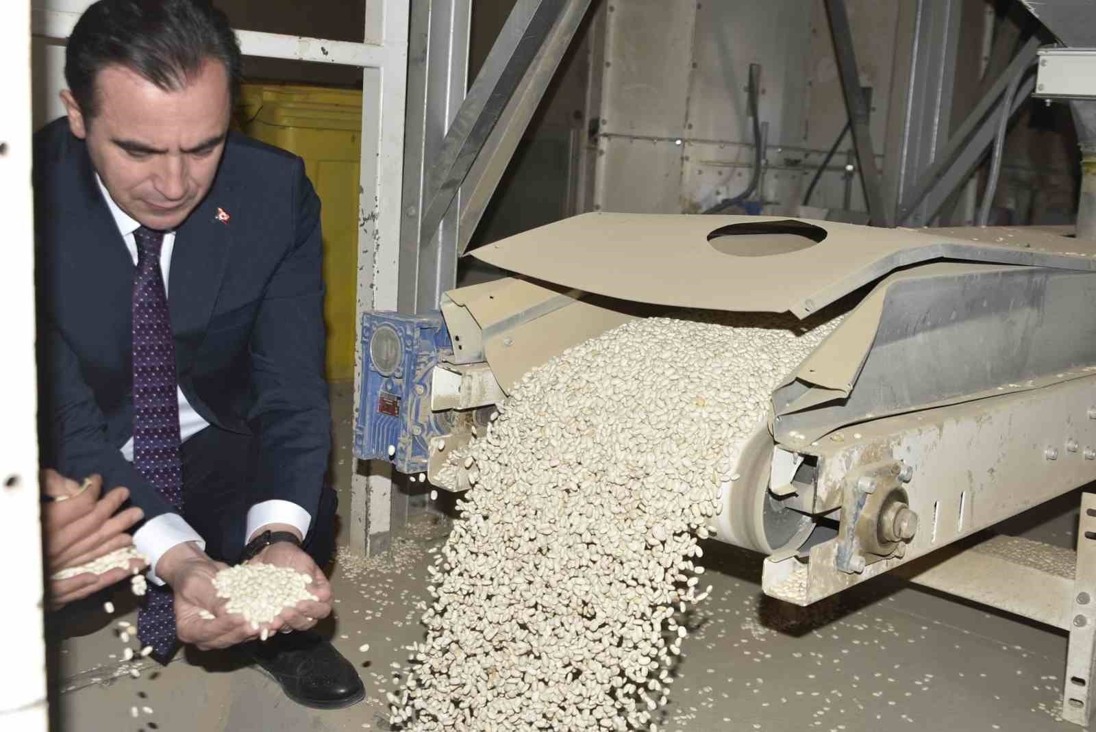 Bitlis’te kuru fasulye hasadında rekor: 37 bin ton üretim
