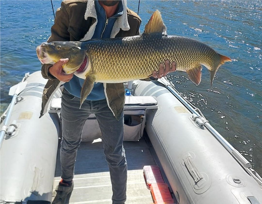Elazığ’da amatör balıkçı 15 kiloluk dev turna yakaladı
