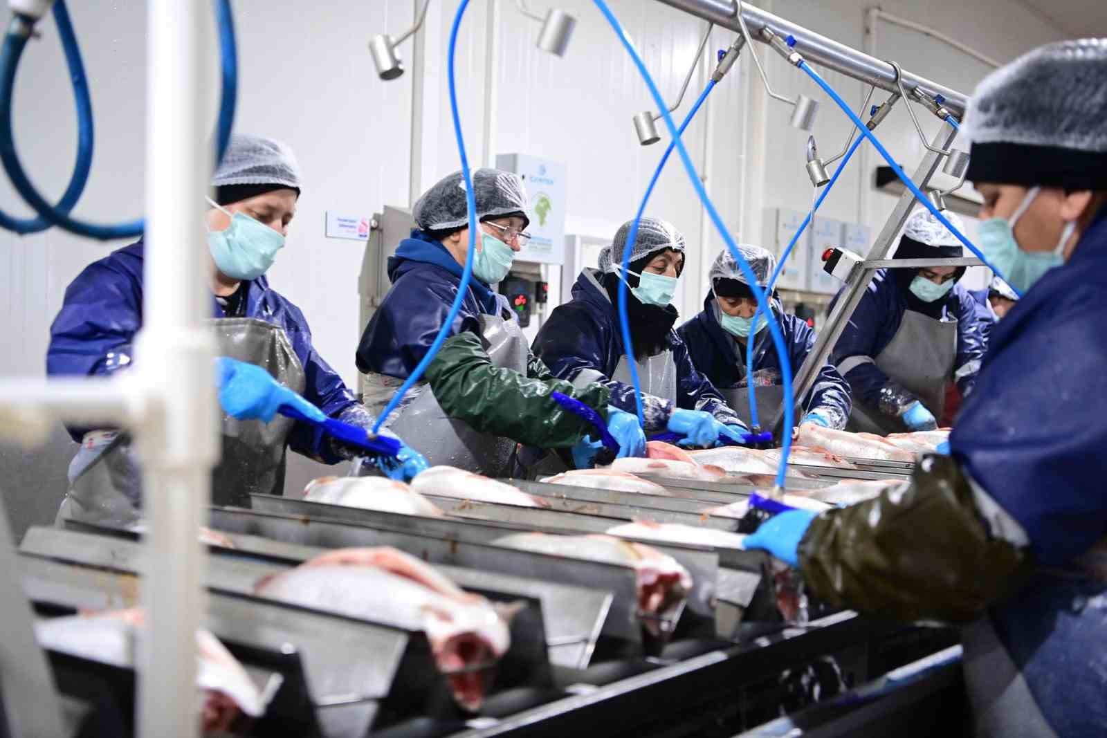 Sinop, Türk somonunda zirvede
