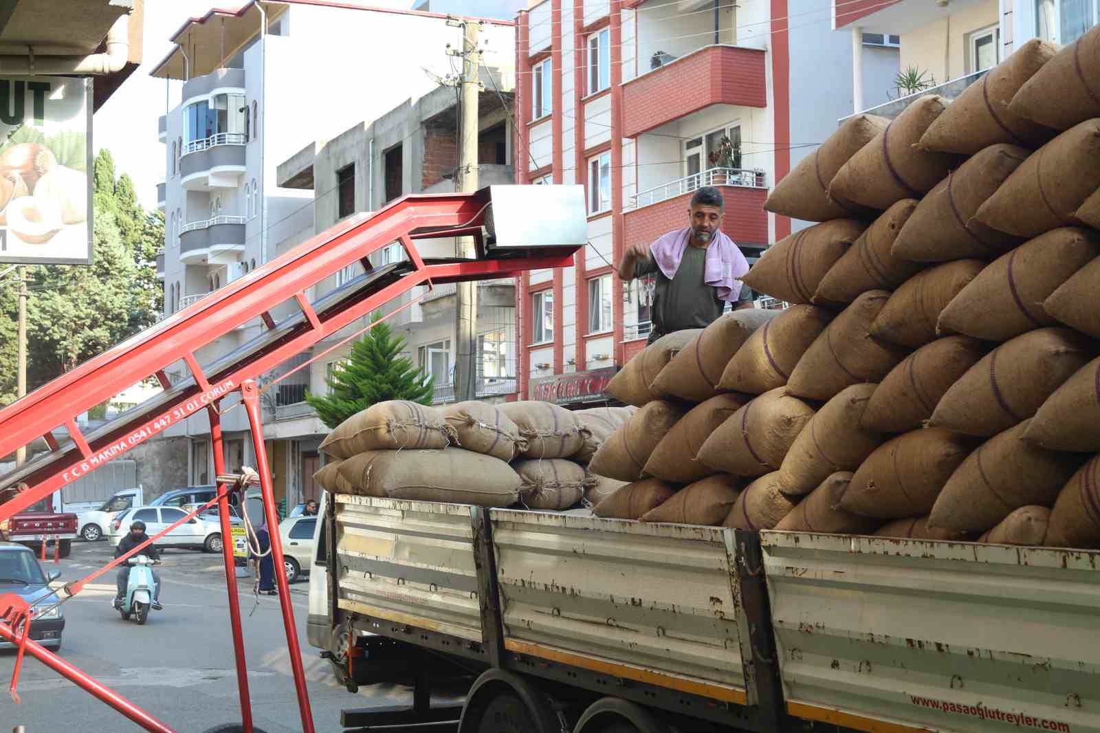 Tüccarlar fındık fiyatı konusunda farklı görüşte
