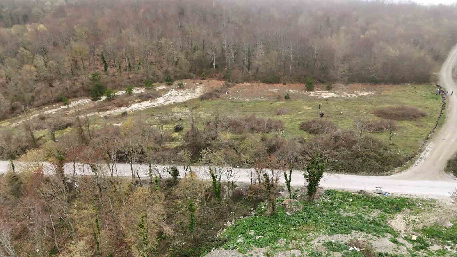 Başkan Yardımcısı Yıldız: "Bu hayvanlar, can dostlarımız"