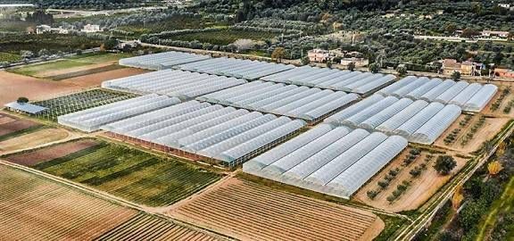 AK Parti Buharkent İlçe Başkanı Balıkçı’dan CHP’li meclis üyelerine tepki