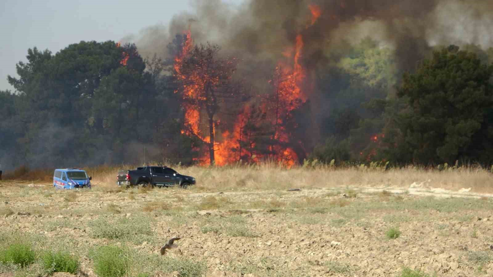Orman yangınında u&ccedil;aktan atılan su g&ouml;kkuşağı oluşturdu

