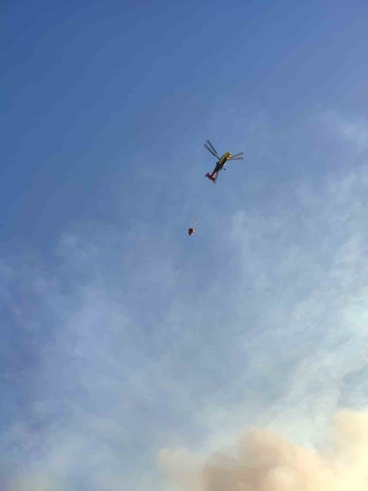 Sazlık alanda çıkan yangın ormana sıçradı