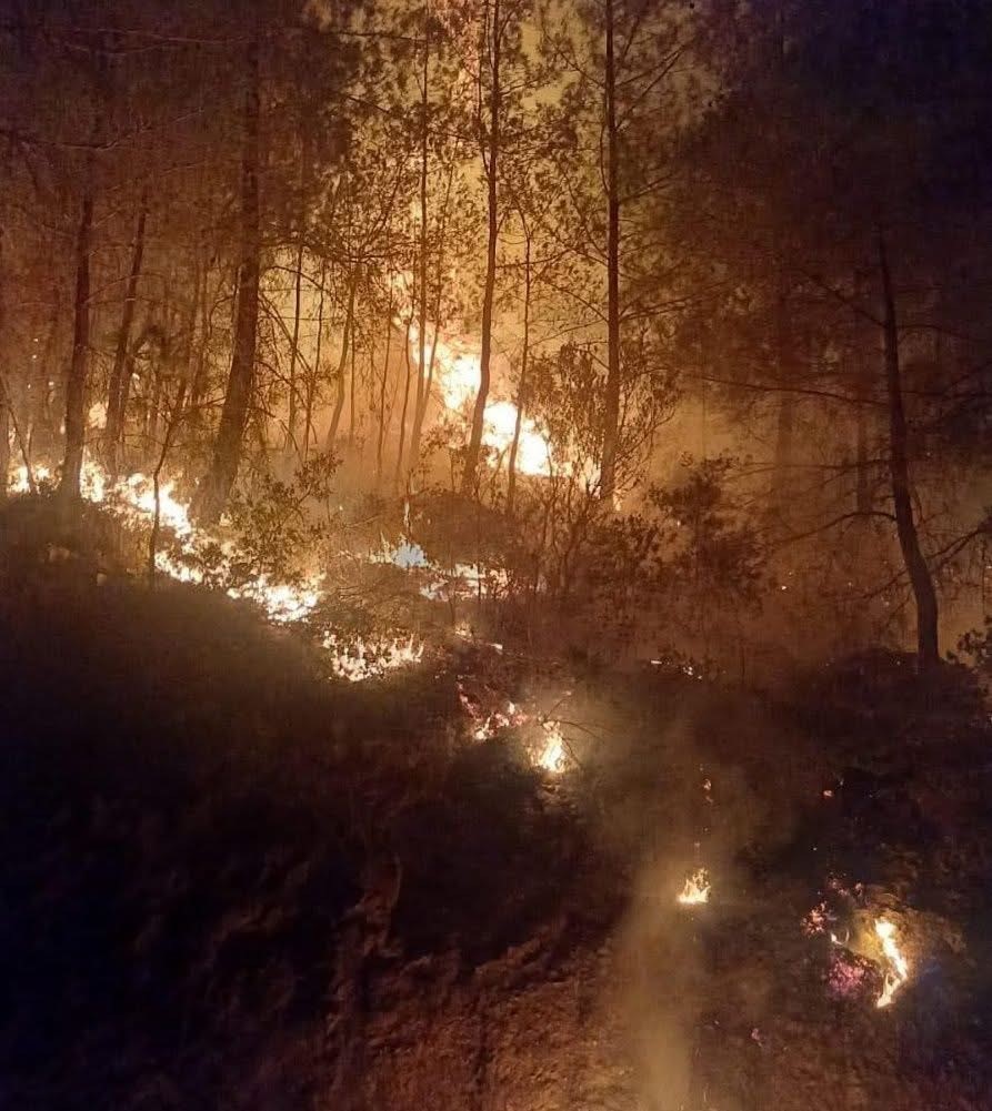 Gazipaşa&rsquo;da ormanlık alanda &ccedil;ıkan yangın kontrol altına alındı
