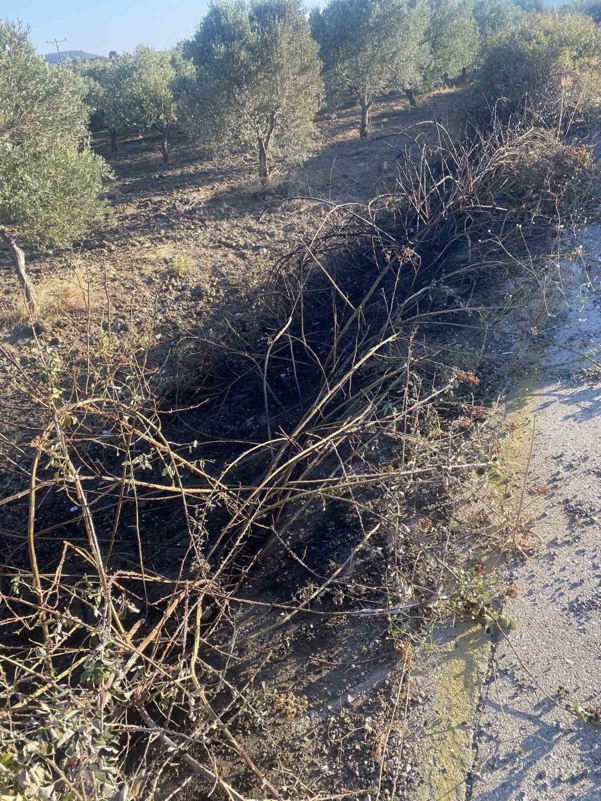 Kırkağaç’ta motosiklet alev aldı, yangın otluk alana sıçradı