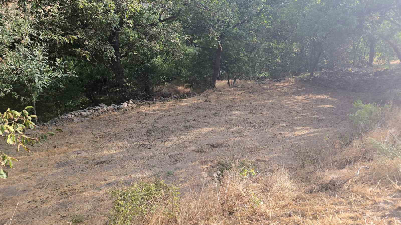 Hakkari’nin Cevizli köyünde ağaçlar kurudu, tarlalar susuz kaldı
