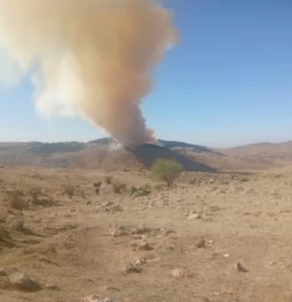 &Ccedil;ankırı&rsquo;da &ccedil;ıkan orman yangını kontrol altına alındı
