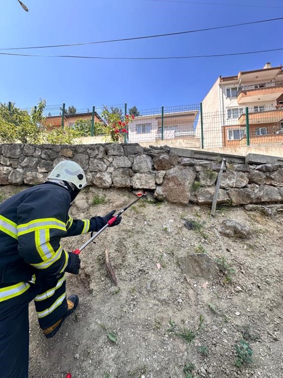 Bilecik’te caddede yakalanan ’oluklu kertenkele’ doğaya salındı
