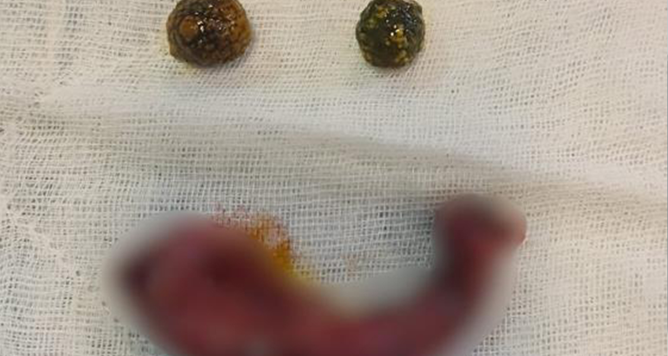 Prof. Dr. Selim Sarı: 