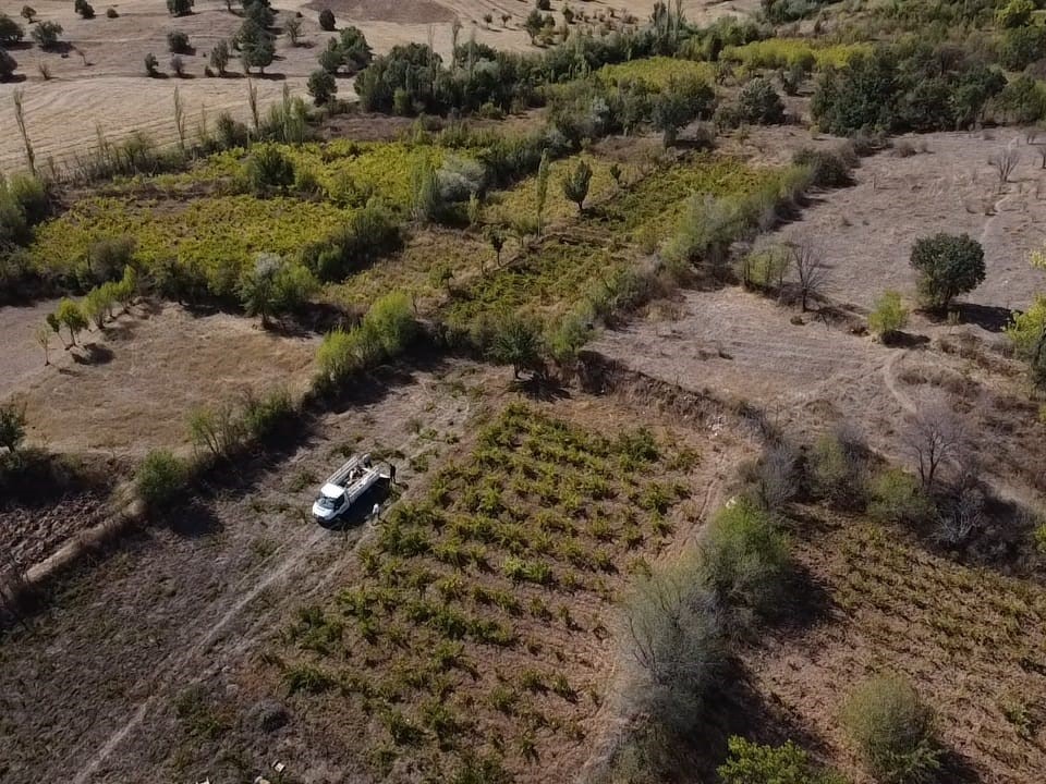 Yozgat’ta pekmez kazanları kaynadı
