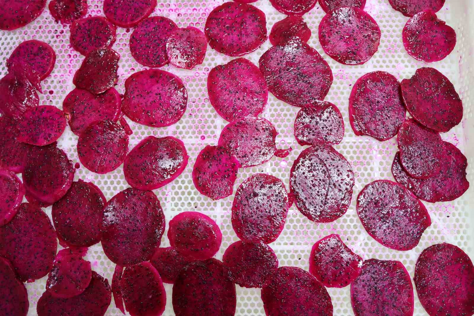 Ejder meyvesi en çok kurutulan ürünler arasına girdi
