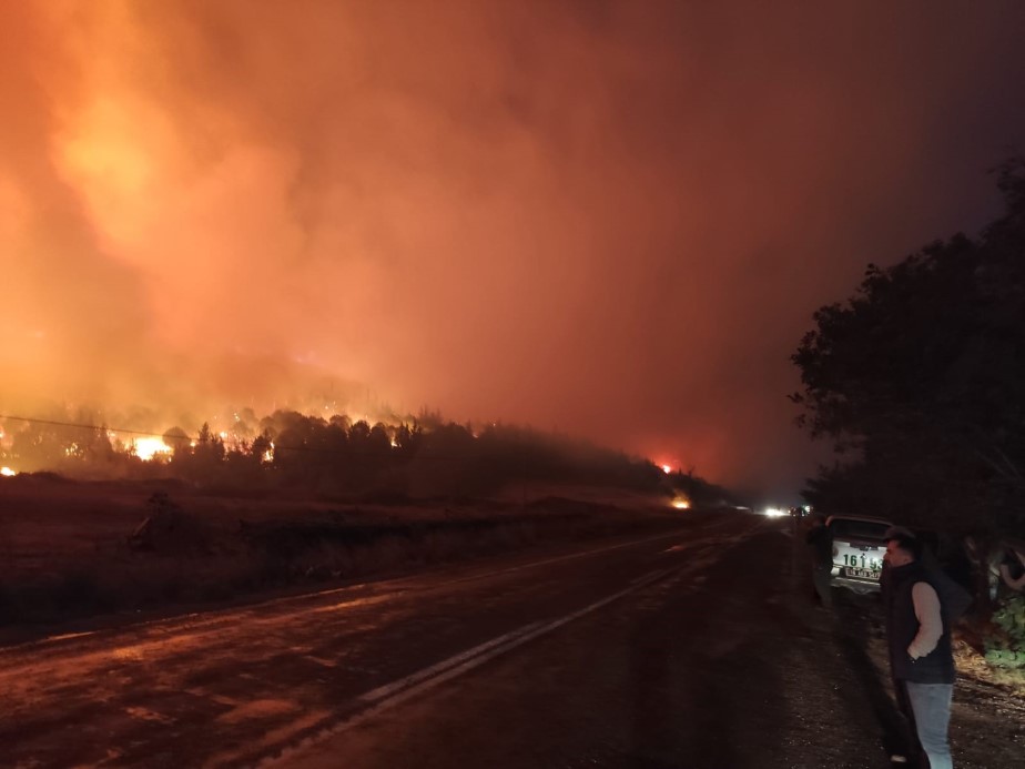 Bursa’da orman yangını...Rüzgarın etkisiyle büyüdü