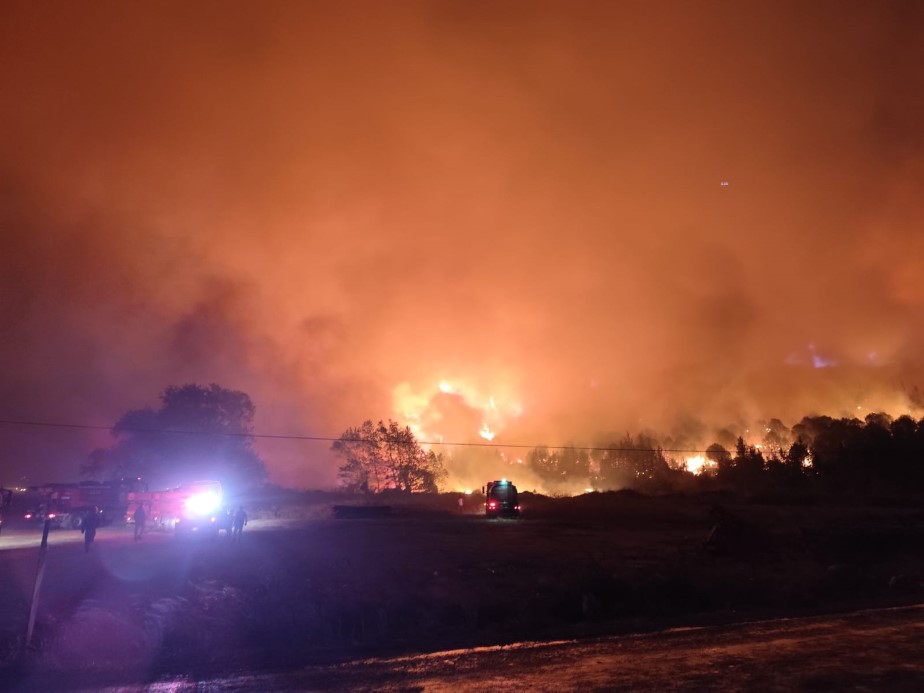 Bursa’da orman yangını...Rüzgarın etkisiyle büyüdü