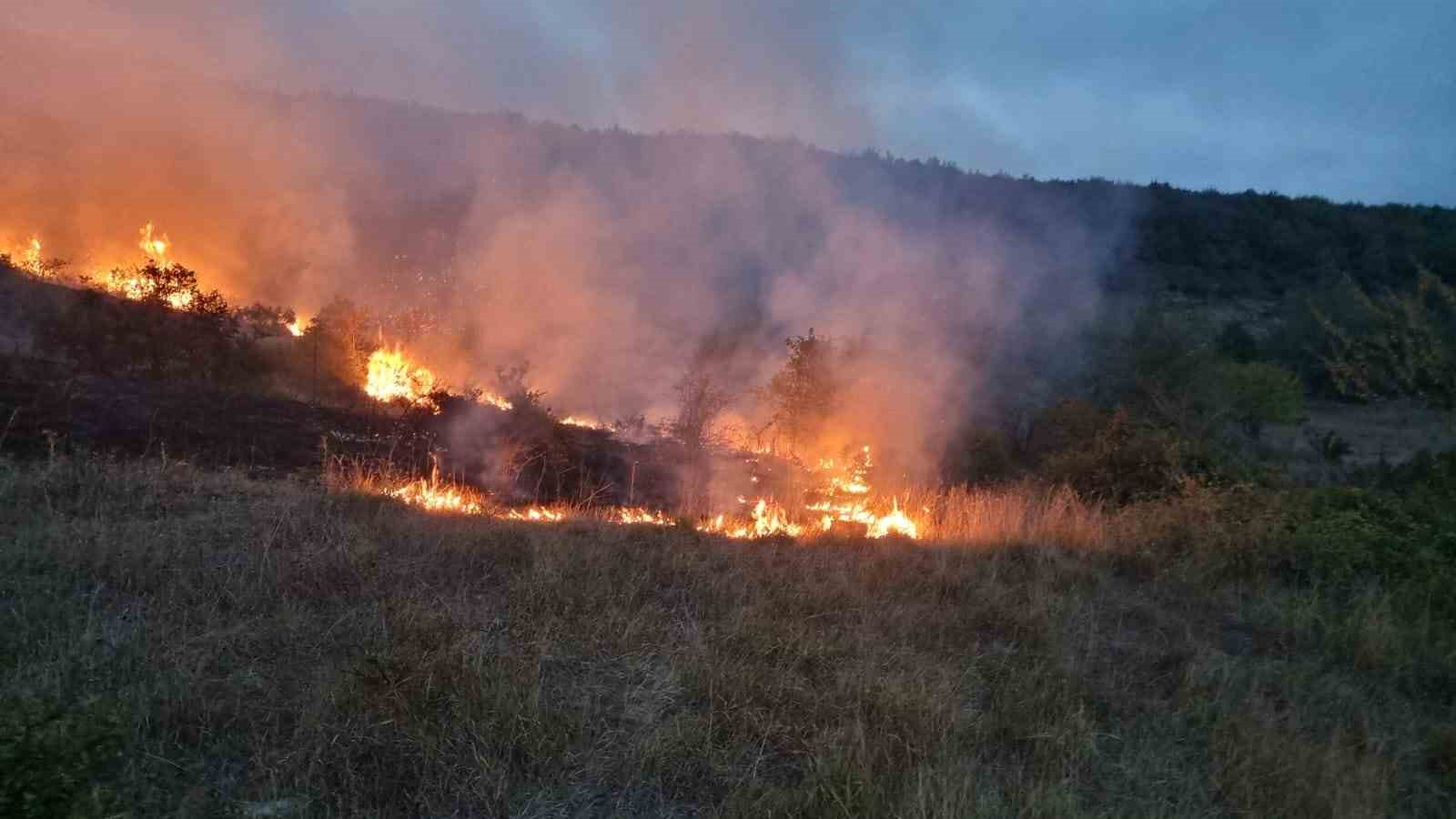Sakarya’da makilik alanda çıkan yangın söndürüldü
