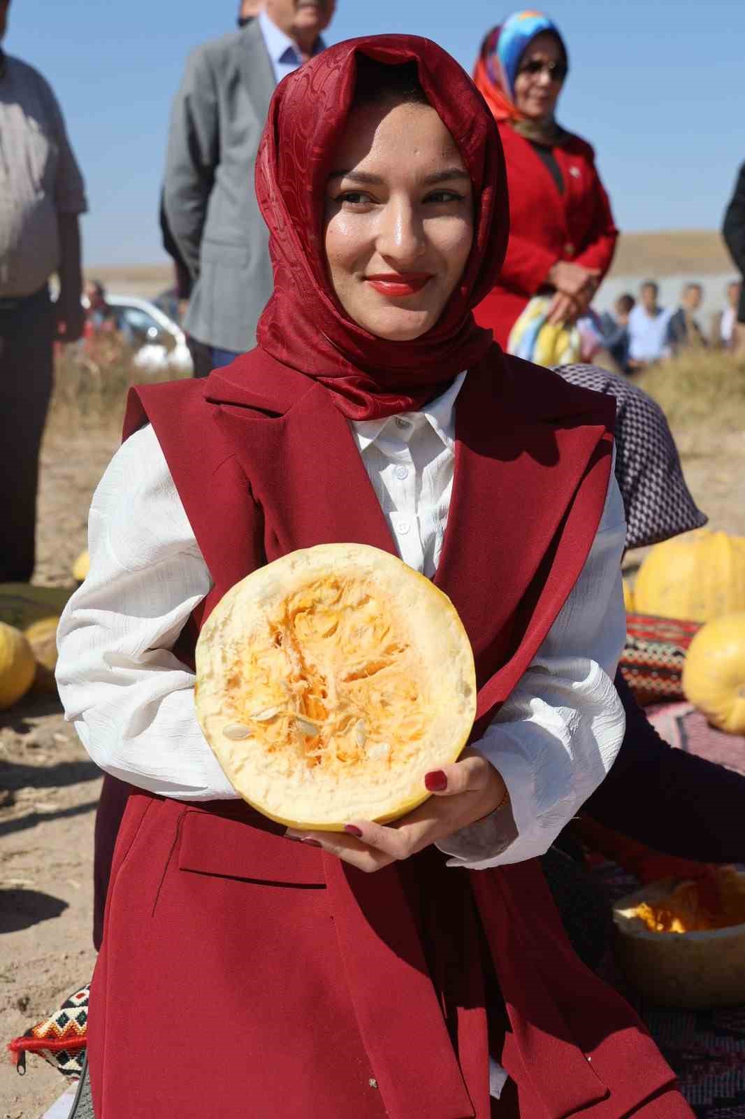 Nevşehir’de kabak çekirdeği hasadı başladı

