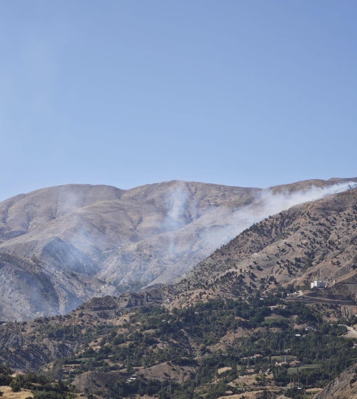 Sincik ilçesinde korkutan orman yangını