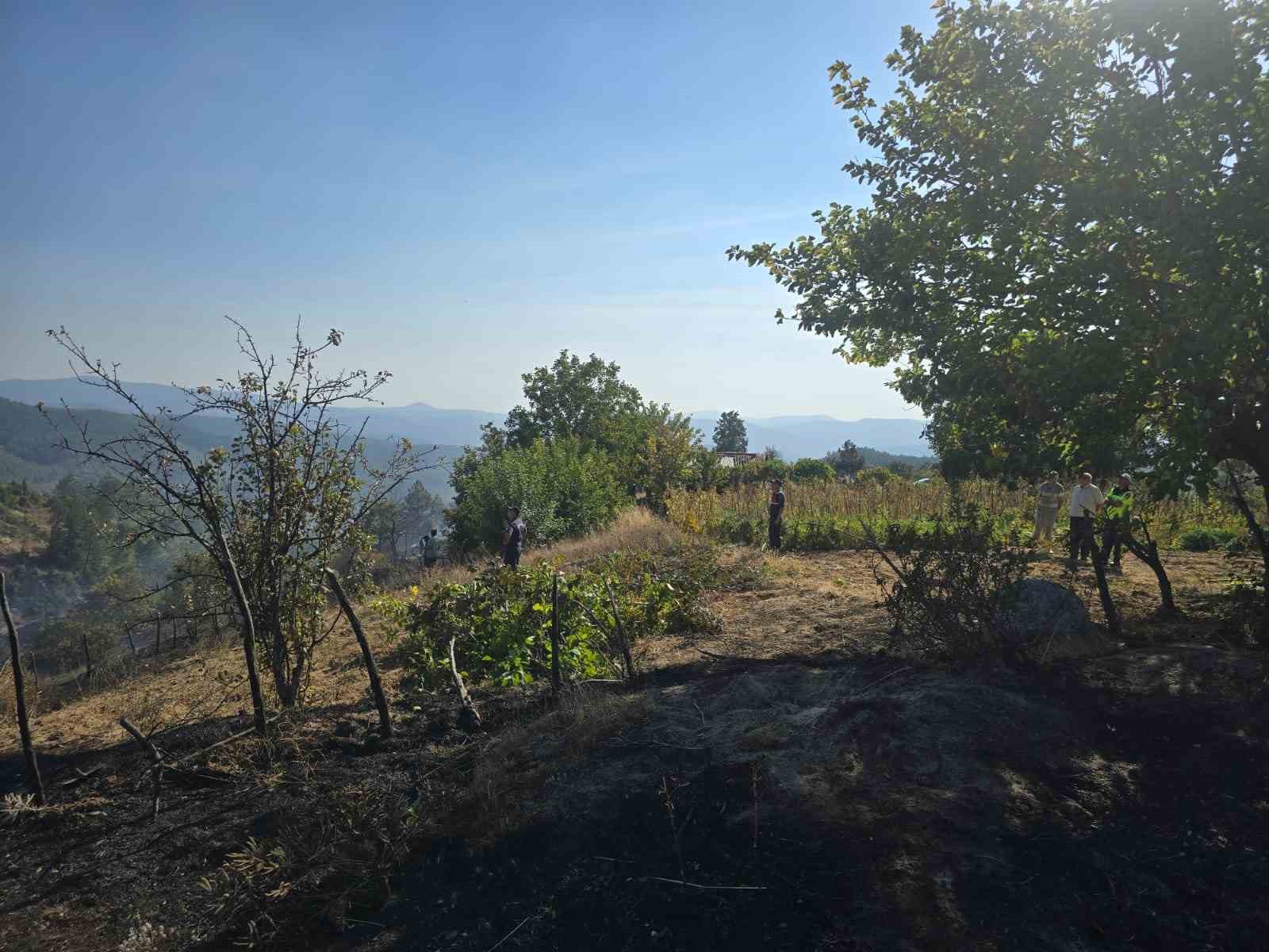 Ormanda piknik keyfi, faciaya sebep oluyordu...
