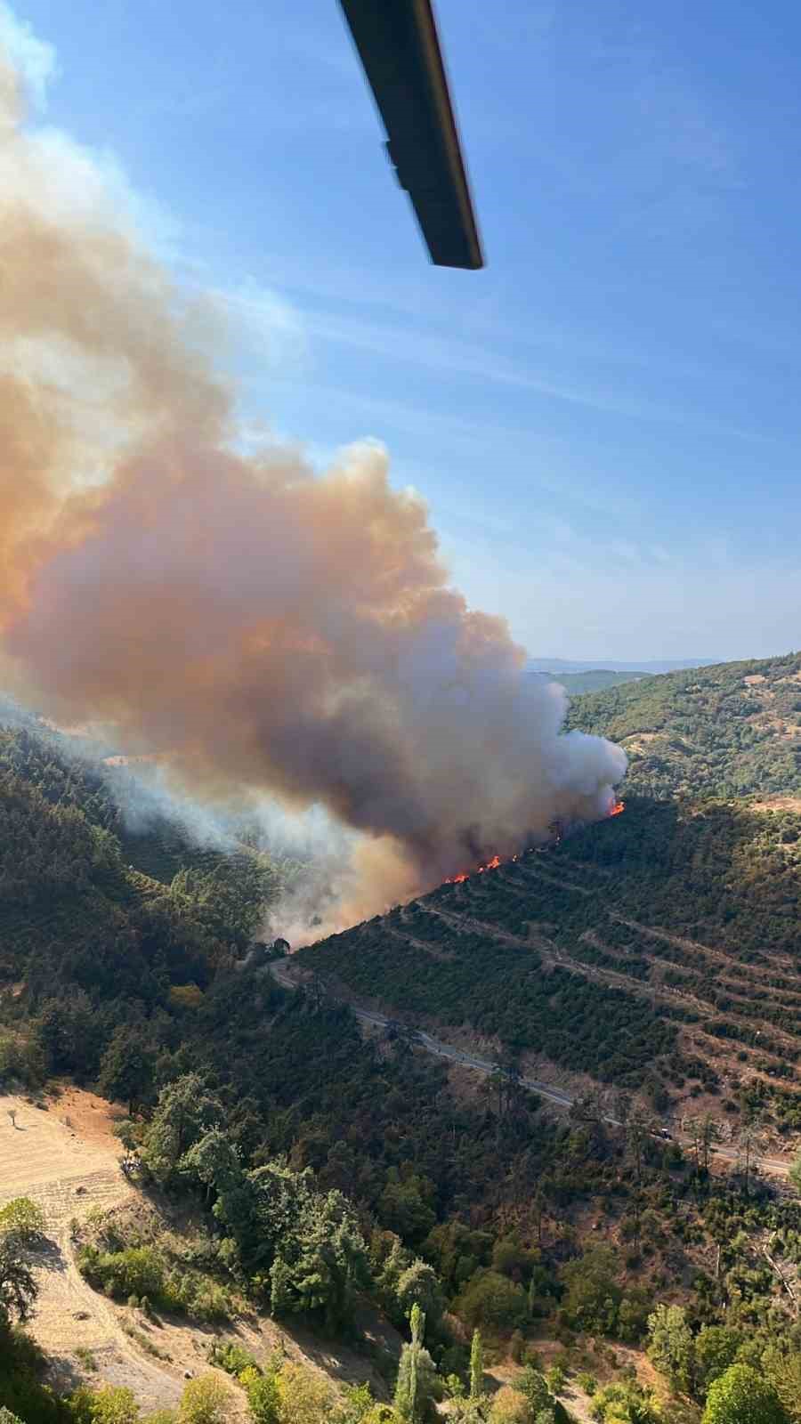 Kepsut&rsquo;ta başlayan yangına m&uuml;dahale s&uuml;r&uuml;yor
