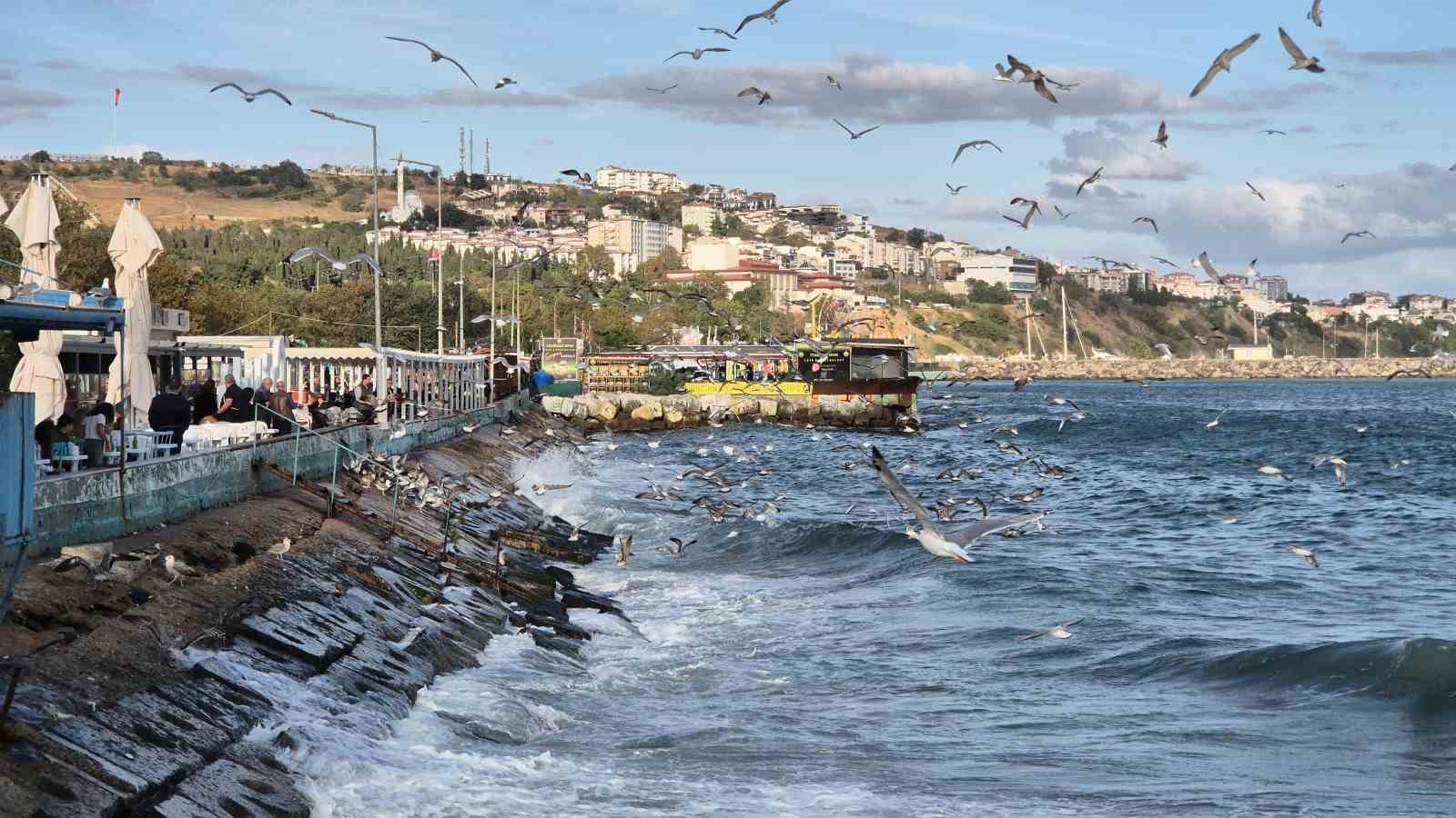 Marmara Denizi&rsquo;nde poyraz ulaşımı olumsuz etkiledi
