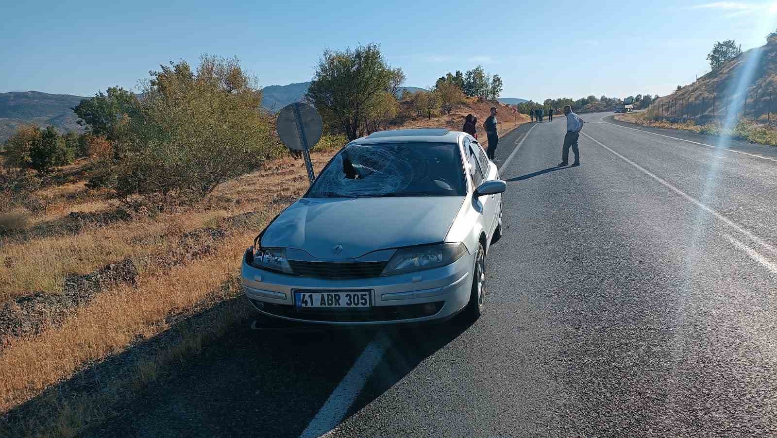 Elazığ&rsquo;da otomobilin &ccedil;arptığı at telef oldu
