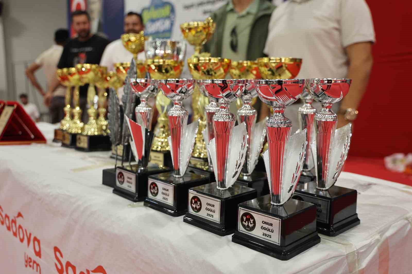 Doğu ve Güneydoğu’nun en güzel horoz ve tavukları belli oldu
