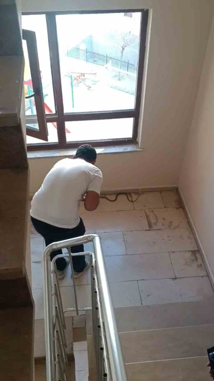 Şırnak’ta apartmanda yılan paniği
