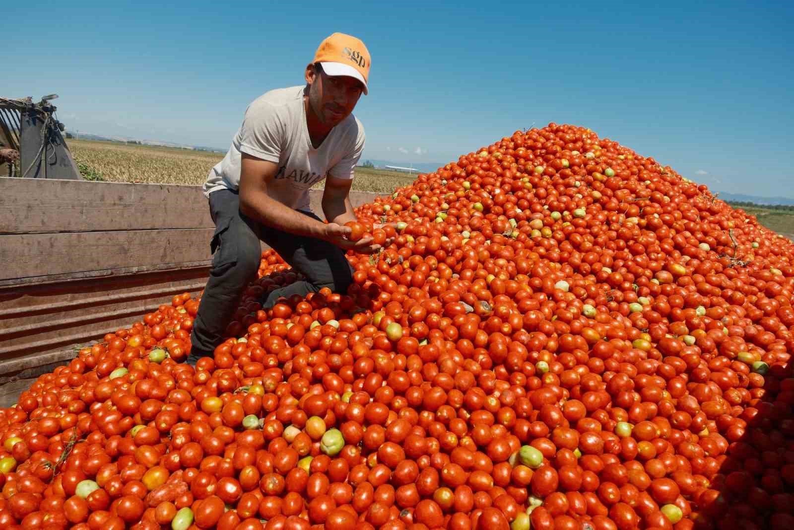 Iphone 17 almak için 30 tır karpuz ya da 2 tır domates satmak gerekiyor
