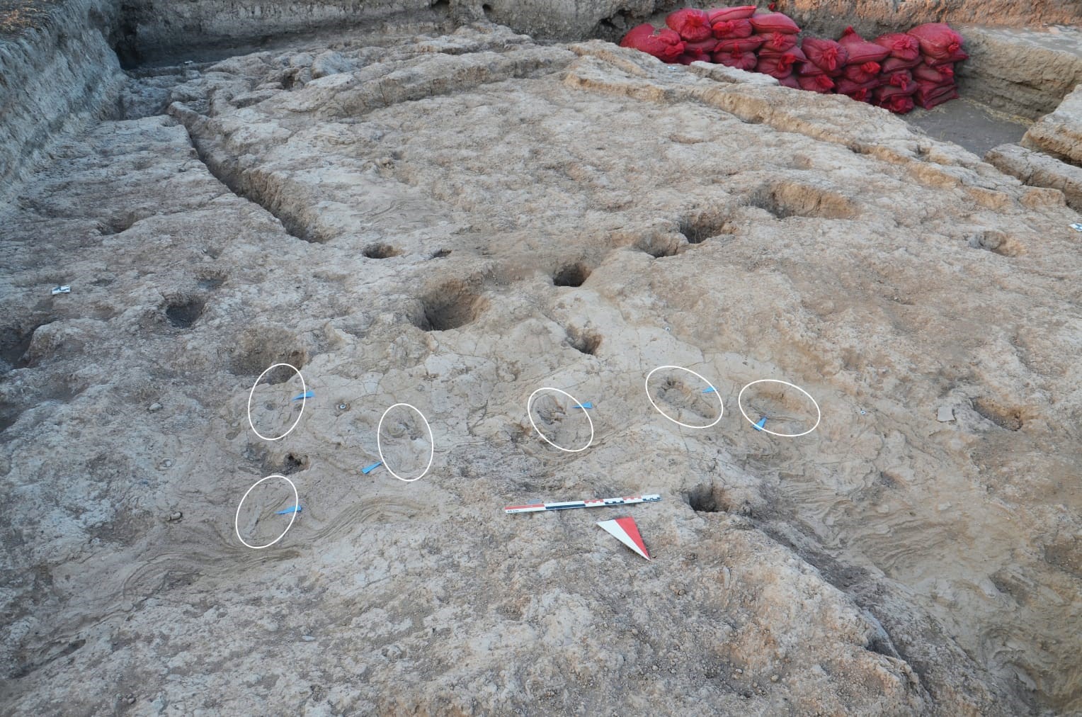 Bakan Ersoy: "7 bin yıl öncesinden günümüze uzanan adımlar, Hatay’da keşfedildi"
