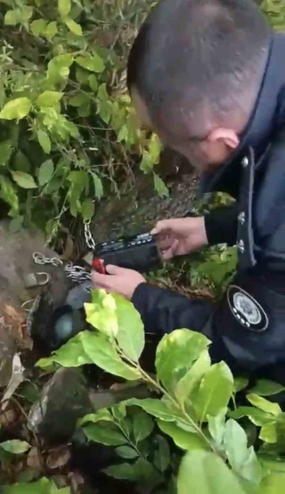 Polis kaçak avcılık tuzağı ele geçirdi