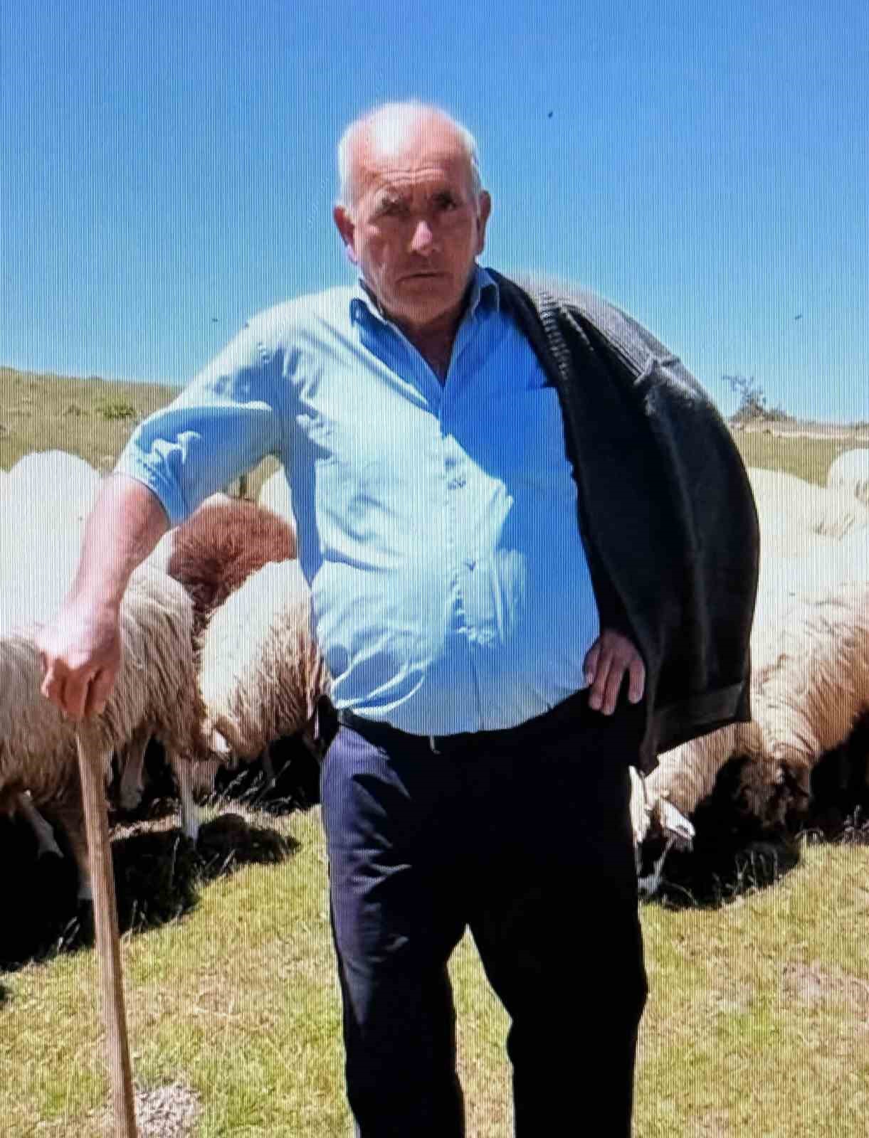 Samsun’da otomobilin çarptığı çoban hayatını kaybetti