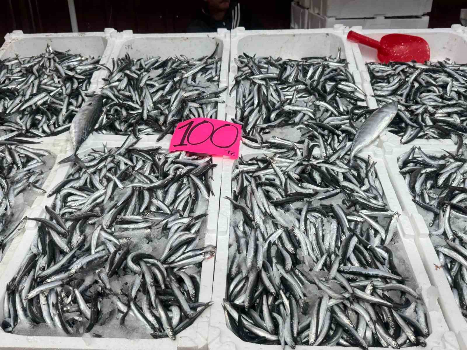 Zonguldak’ta hamsinin fiyatı 100 liraya düştü