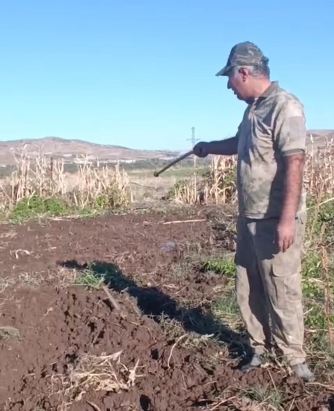 Çiftçiden bahçesini talan eden domuza tebessüm ettiren tepki: "Benden uzak durmadığın müddetçe kalemini kıracağım"