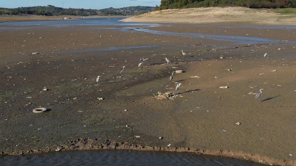İstanbul’da barajlar alarm veriyor: Son 10 yılın en düşük su seviyesi