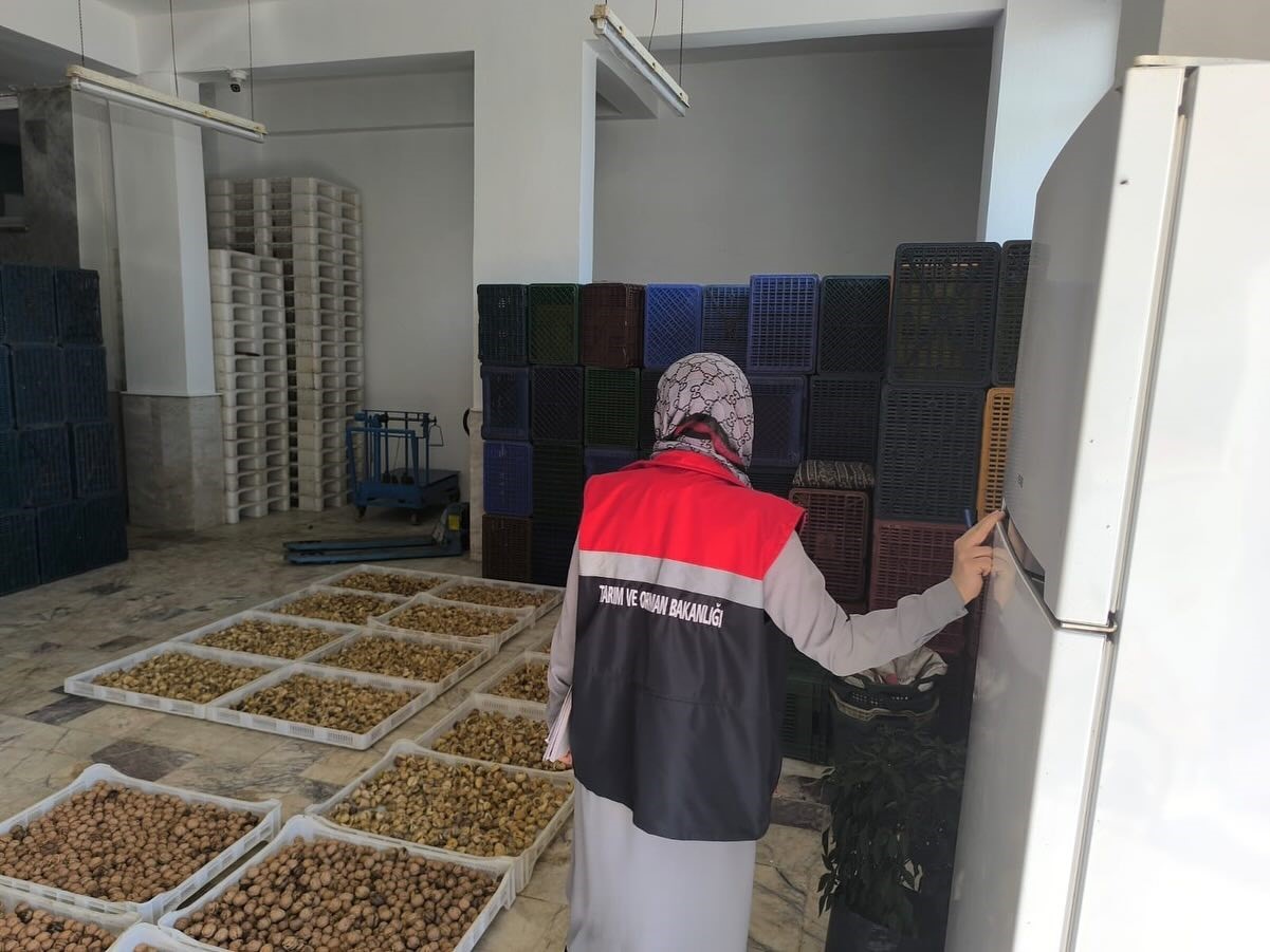 Köşk’te kuru incir depolarına sıkı denetim