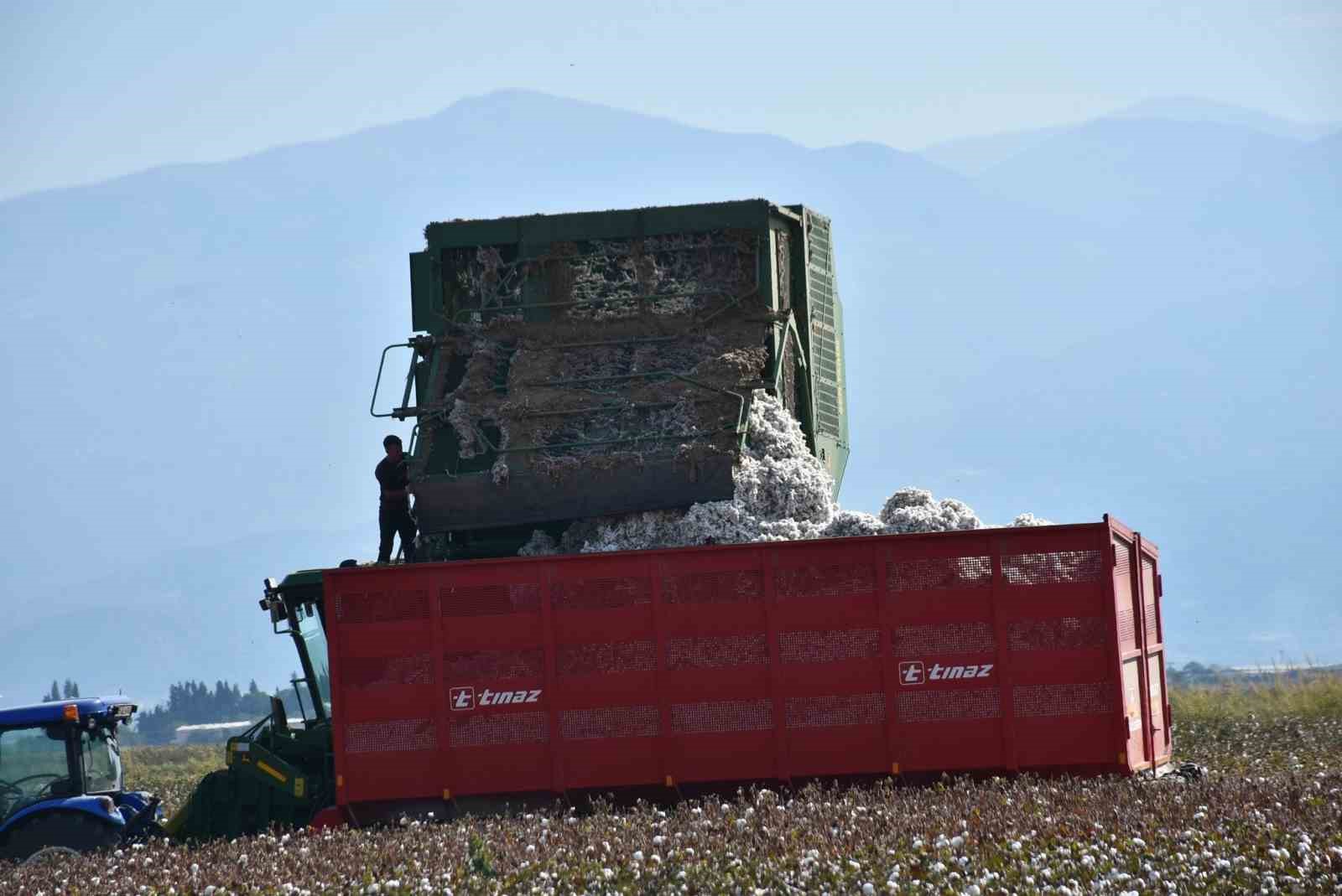 Salihli Ovası’nın ‘Beyaz Altın’ında ilk hasat
