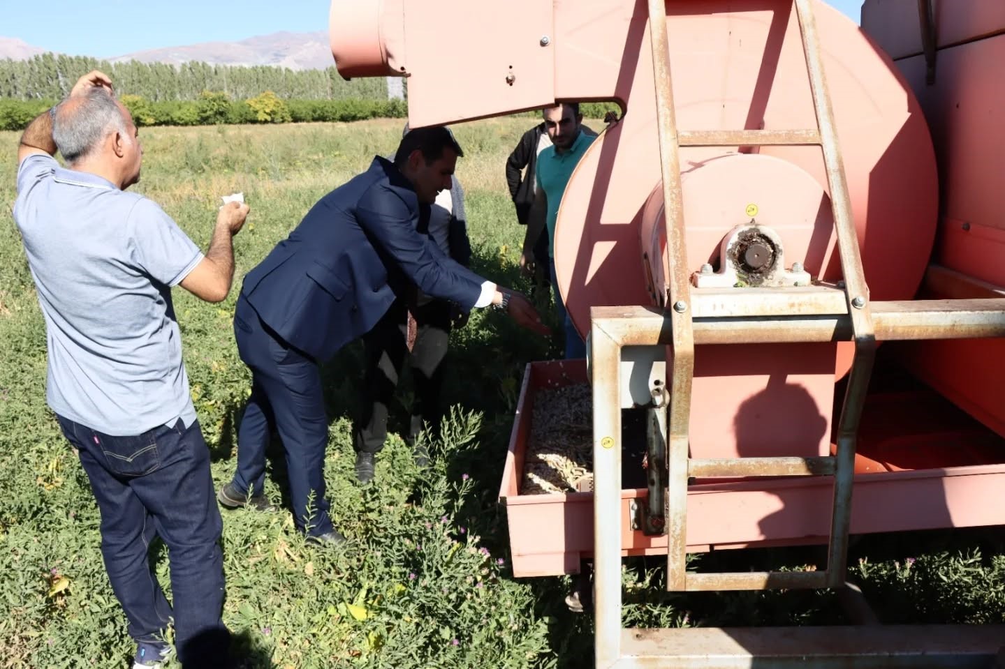 Erzincan’da kuru fasulye hasadı başladı