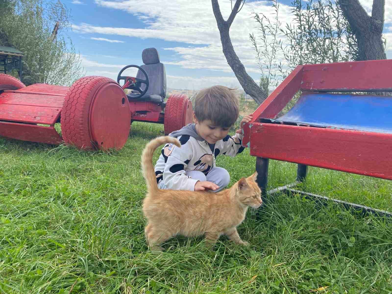 TVHB Genel Başkanı Eroğlu: "Hayvanlara verilen zarar, onlara yapılan işkence insanlık dışı şeylerdir"